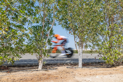 Stage 2 Uae Tour–Abu Dhabi