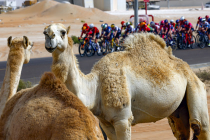 STAGE 2 OF UAE TOUR WOMEN'S (The Year Of Community)-2025